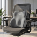 Lumbar Support Pillow