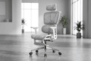 LumaSpine Pro Ergonomic Office Chair