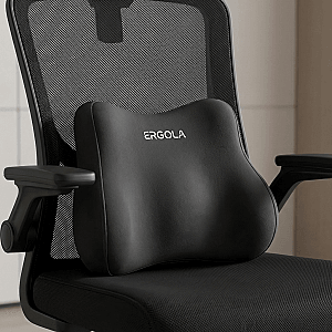 Lumbar Support Pillow