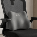 Lumbar Support Pillow