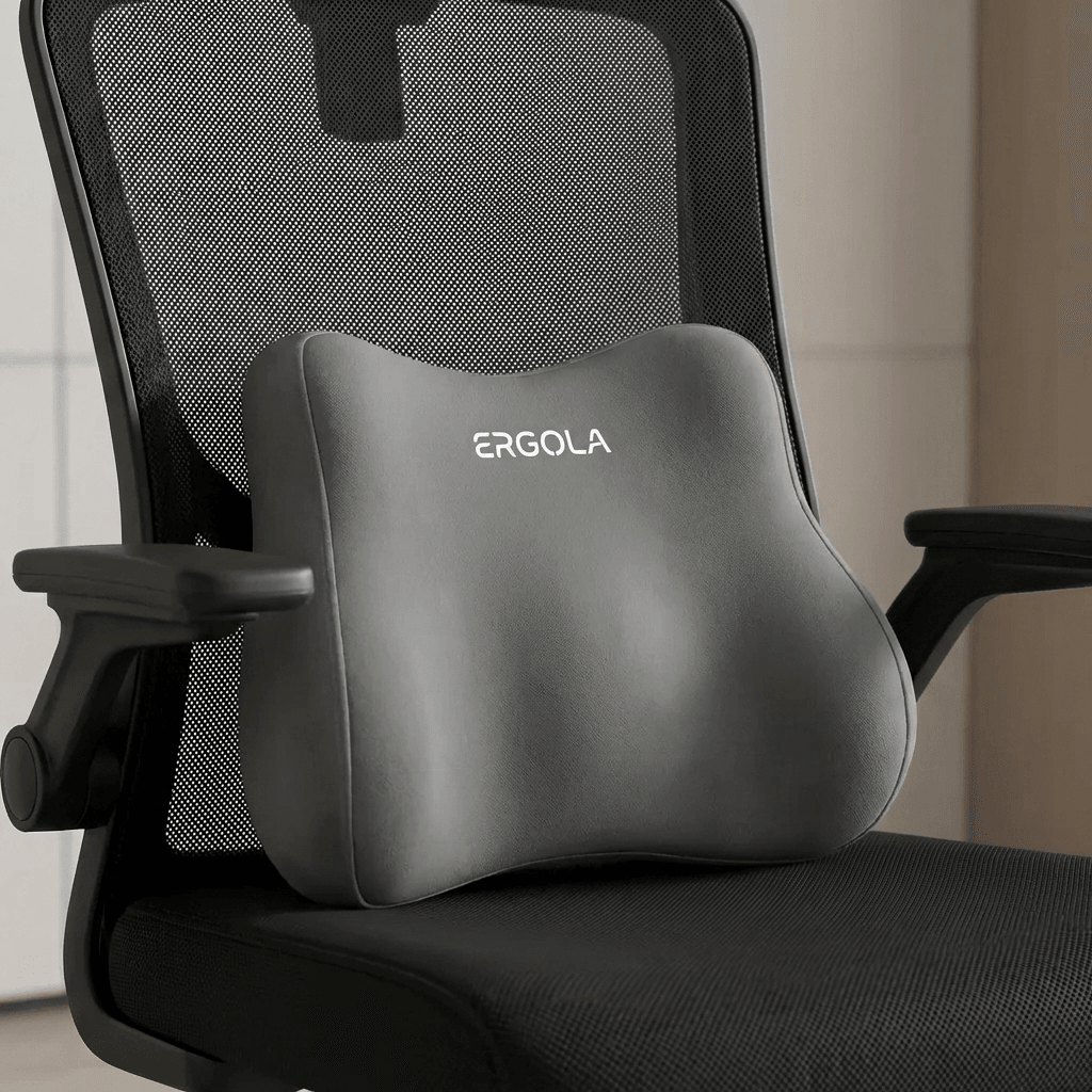 Lumbar Support Pillow