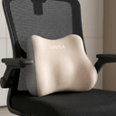 Lumbar Support Pillow