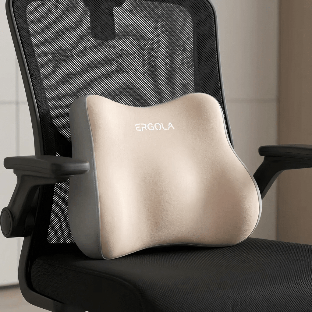 Lumbar Support Pillow